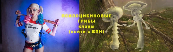 соль ск Алзамай