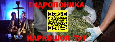 сатива Ачхой-Мартан
