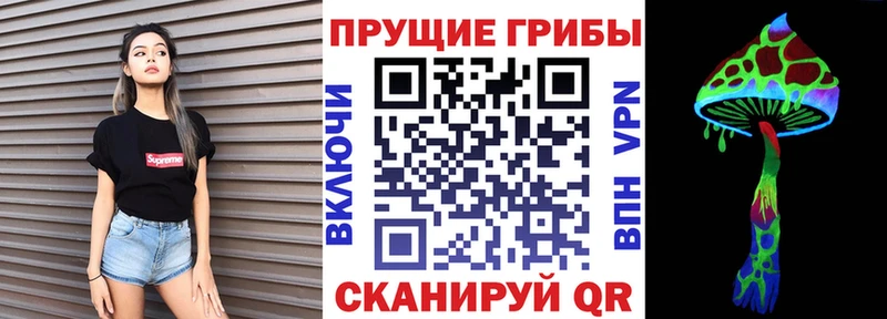 где продают наркотики  Алексеевка  Галлюциногенные грибы GOLDEN TEACHER 