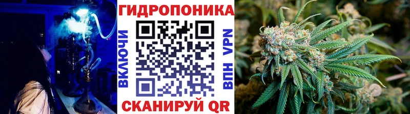 Конопля Ganja Алексеевка