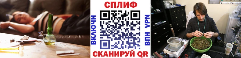 Каннабис планчик  Алексеевка 