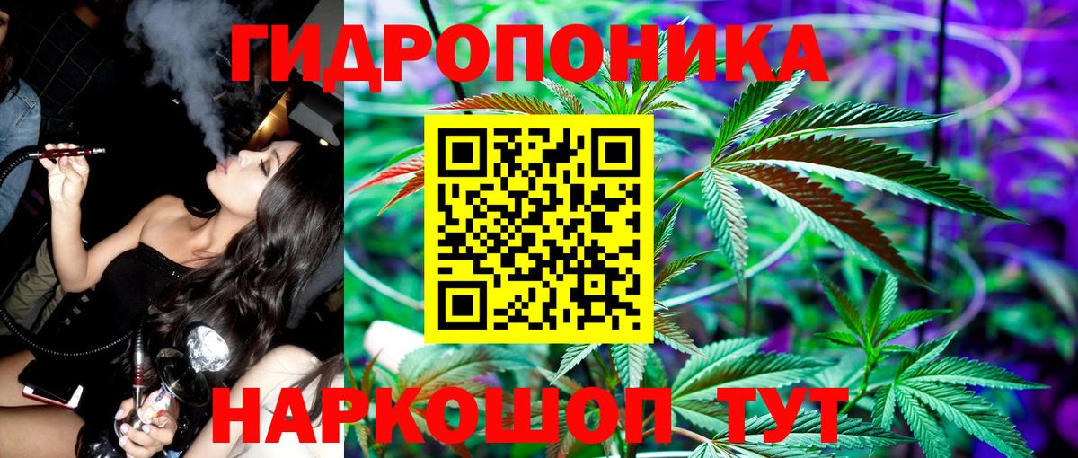 Конопля Bruce Banner Алексеевка